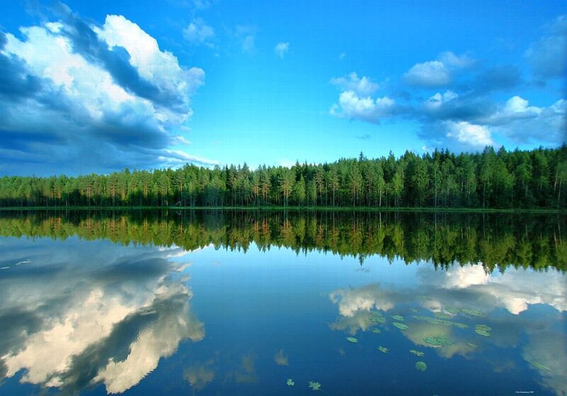 Forest Lake Reflection — Blue, Serene