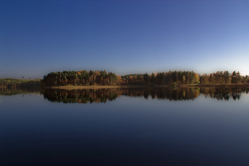 Forest Lake Reflection — Blue