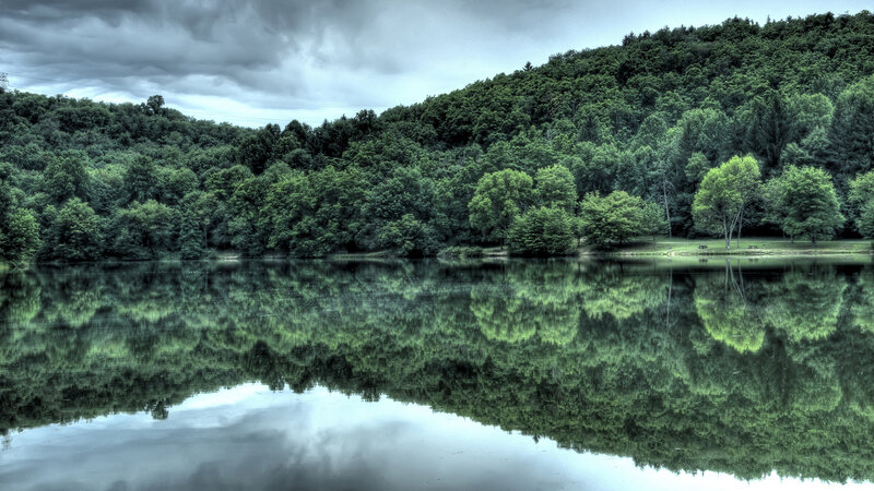 Forest Lake Reflection — Dramatic