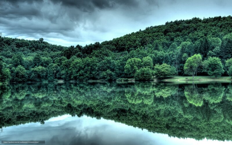 Forest Lake Reflection — Green, Dramatic, Afternoon, Photograph