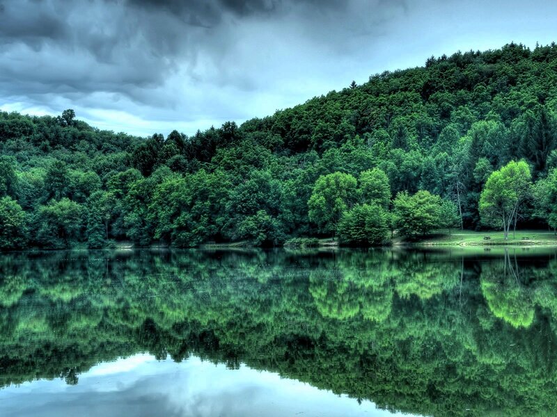Forest Lake Reflection — Green, Dramatic, Afternoon, Photograph, Trees