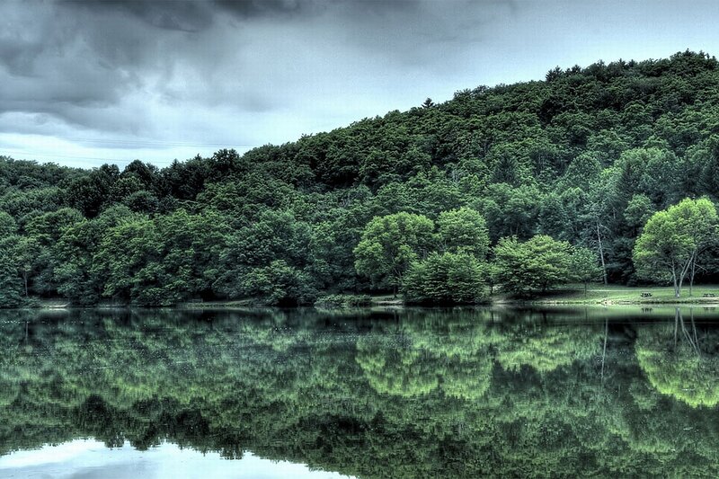 Forest Lake Reflection — Green, Dramatic, Afternoon