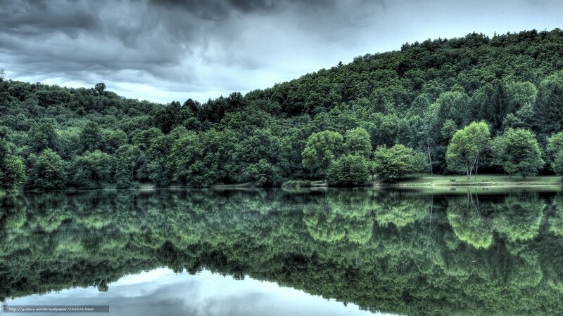Forest Lake Reflection — Green, Dramatic, Photograph, Trees, Clouds, River