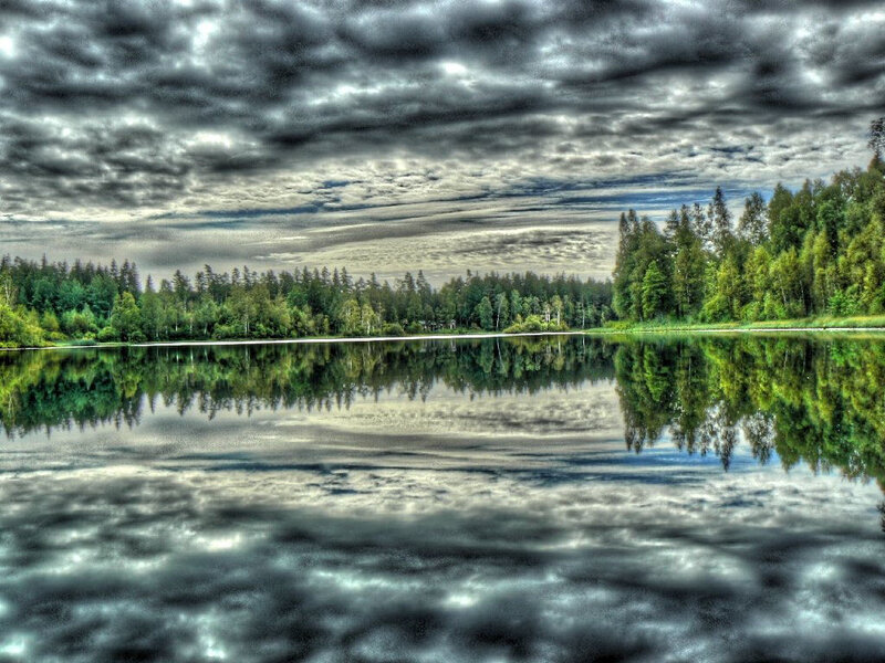 Forest Lake Reflection — Green, Dramatic, Photograph, Trees, Clouds, Sky