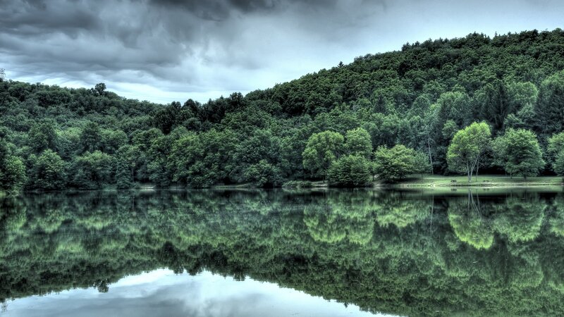 Forest Lake Reflection — Green, Dramatic, Photograph, Trees, Clouds