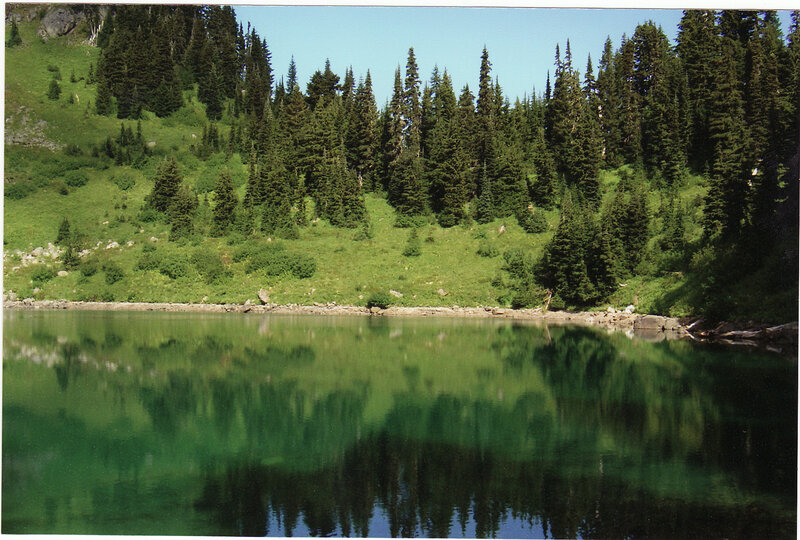 Forest Lake Reflection — Green, Serene, Afternoon, Photograph