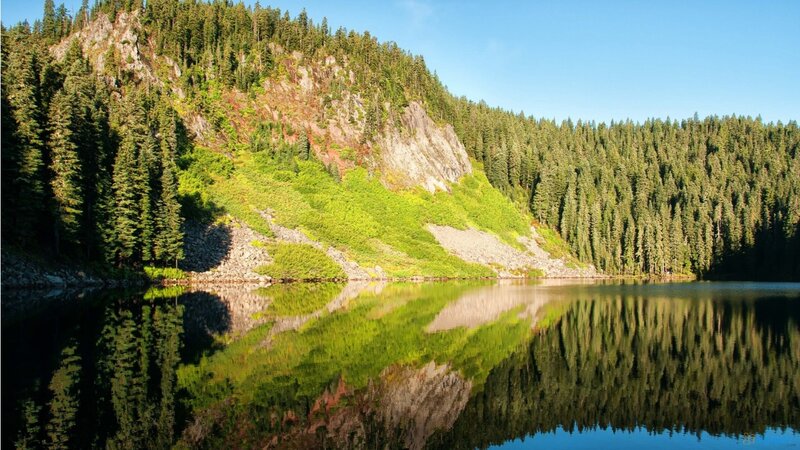 Forest Lake Reflection — Green, Serene, Afternoon, Photograph, Trees, Mountain