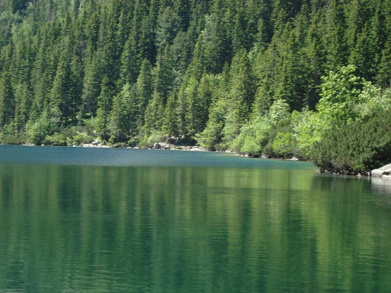 Forest Lake Reflection — Green, Serene, Afternoon, Photograph, Trees, Rocks