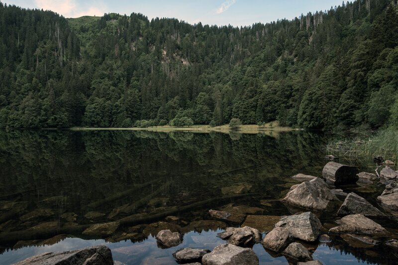 Forest Lake Reflection — Green, Serene, Afternoon, Photograph, Trees, Rocks, Water