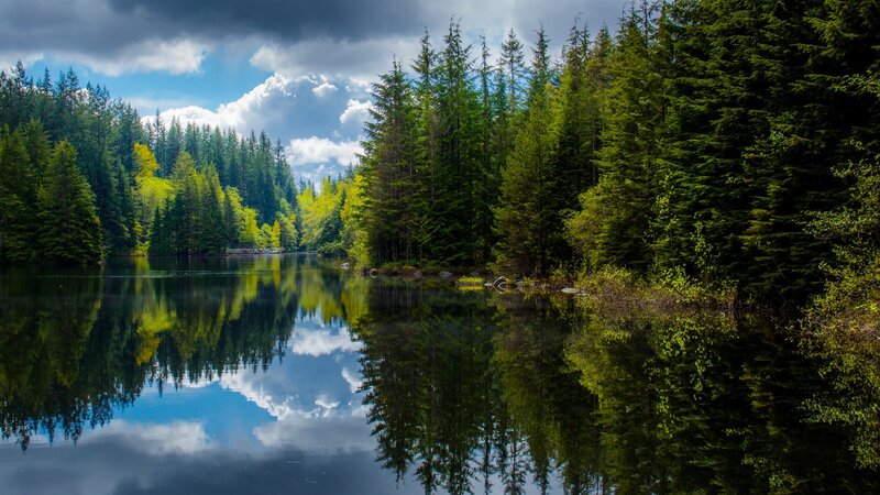 Forest Lake Reflection — Green, Serene, Afternoon, Photograph, Trees, Sky, Clouds
