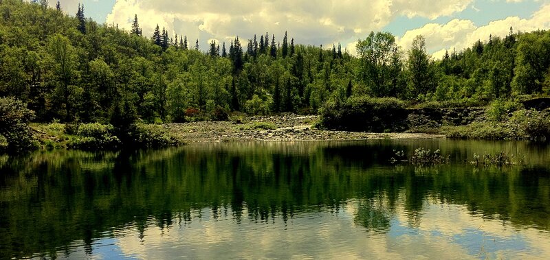 Forest Lake Reflection — Green, Serene, Afternoon