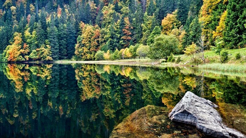 Forest Lake Reflection — Green, Serene, Autumn, Photograph