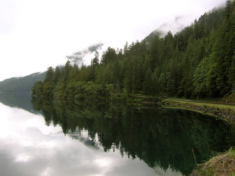 Forest Lake Reflection — Green, Serene, Morning, Photograph