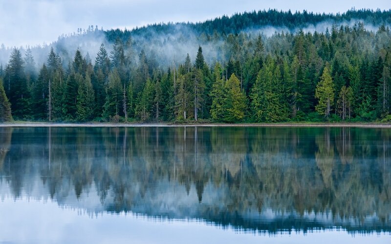 Forest Lake Reflection — Green, Serene, Morning, Photograph, Trees, Fog, Mountain