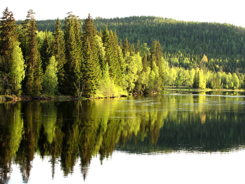 Forest Lake Reflection — Green, Serene, Morning, Photograph, Trees, River, Hills