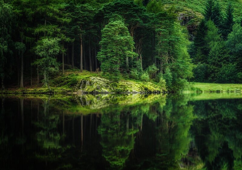 Forest Lake Reflection — Green, Serene, Photograph, Trees, Rocks
