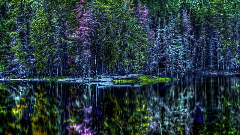 Forest Lake Reflection — Green, Serene, Spring