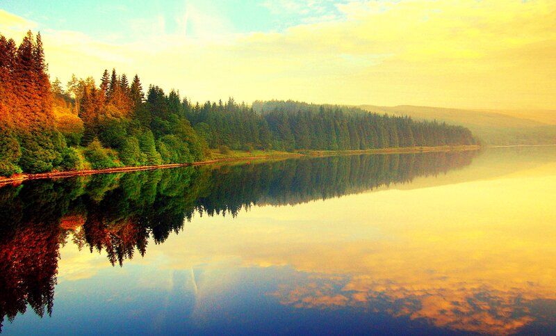 Forest Lake Reflection — Green, Serene, Sunset
