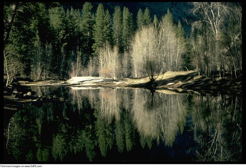 Forest Lake Reflection — Green, Serene, Winter
