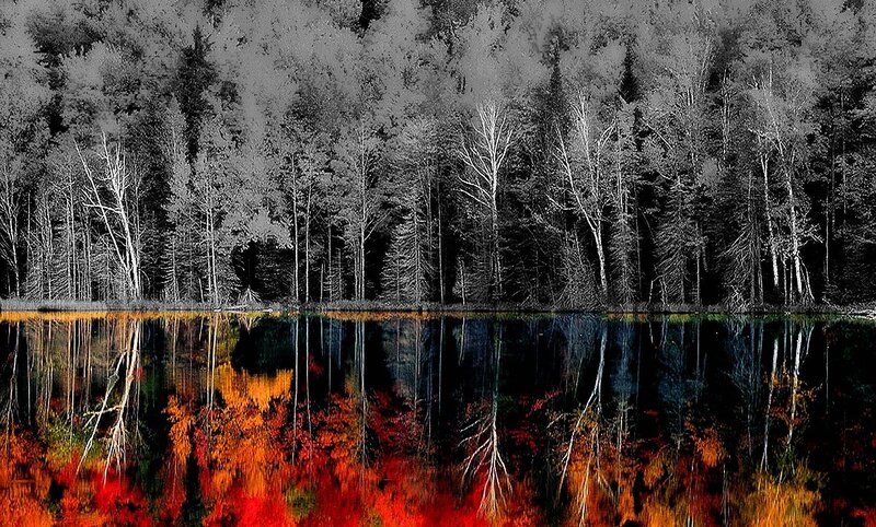 Forest Lake Reflection — Red