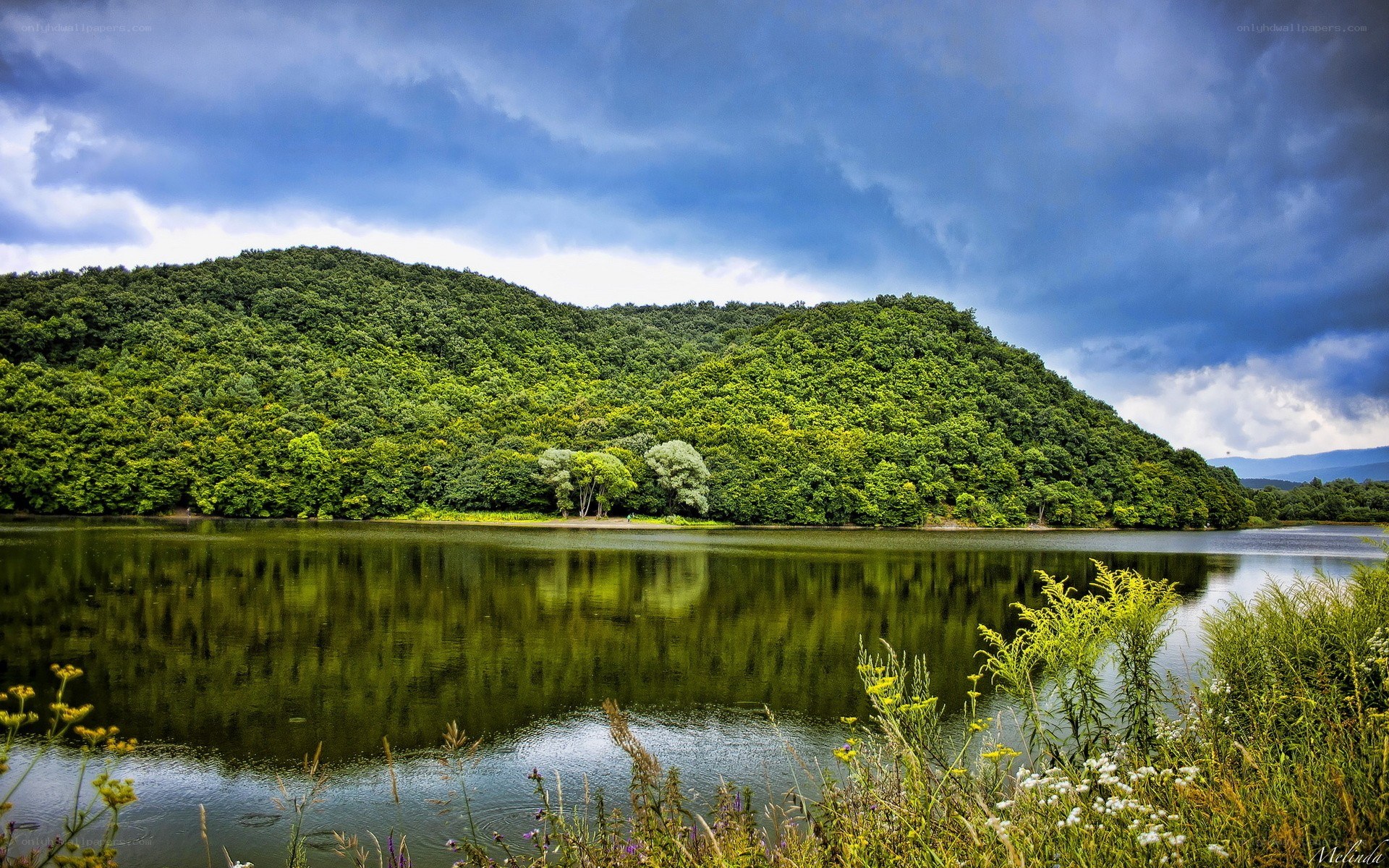 Forest lake under cloudy sky