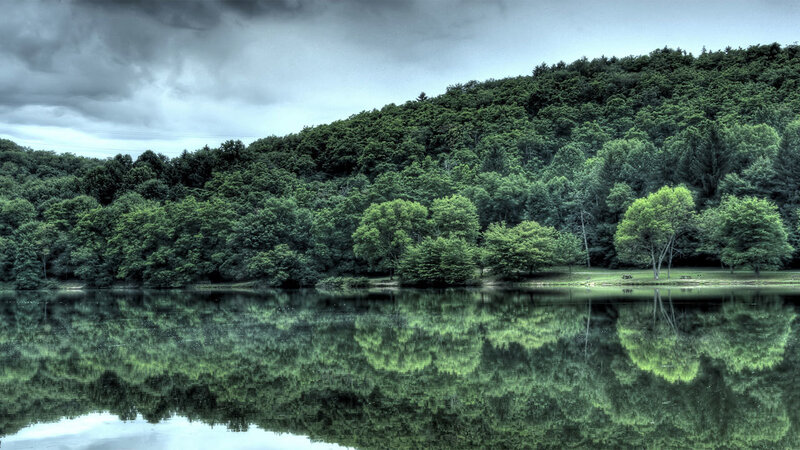 Forest lake under cloudy sky