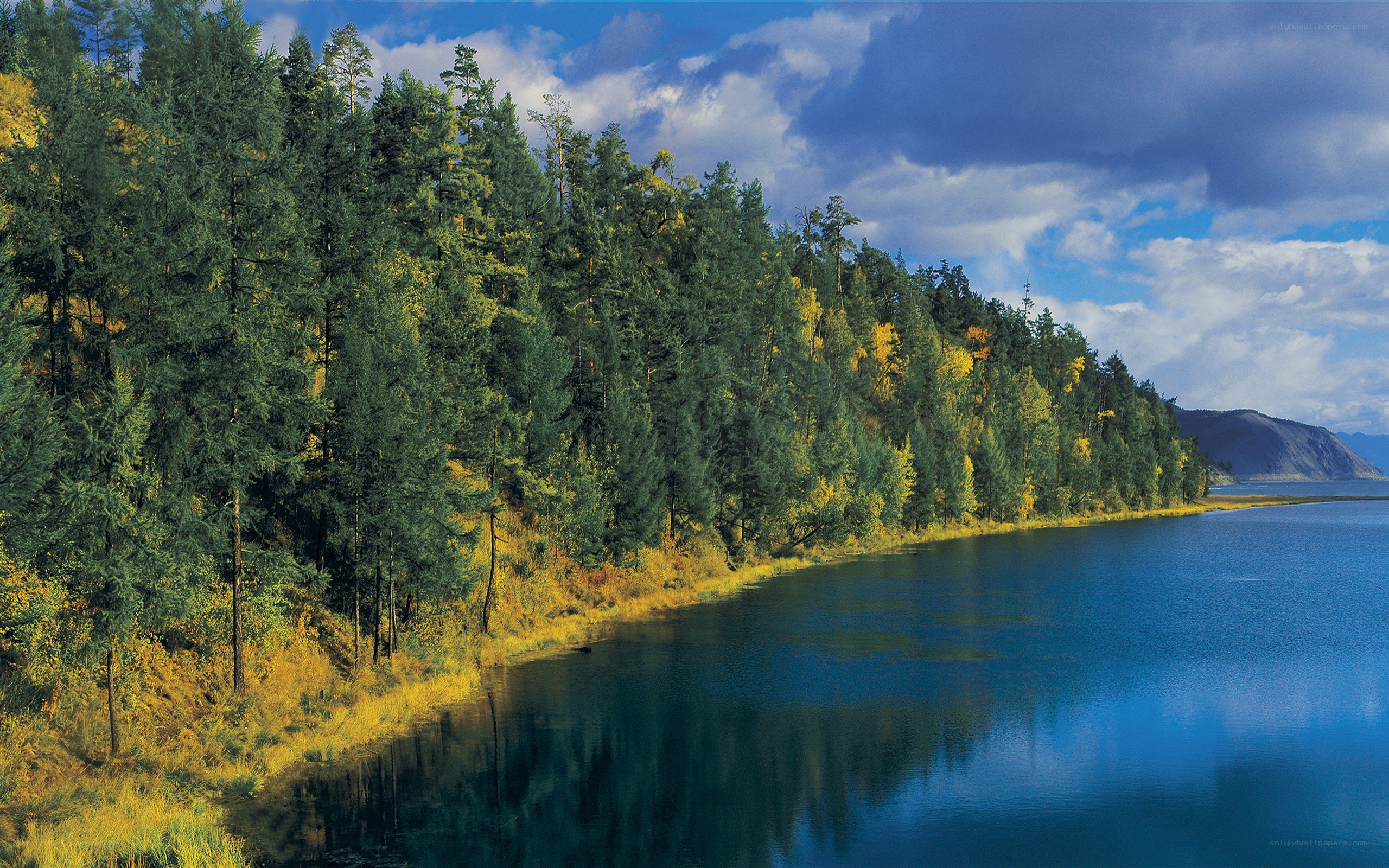 Forest lake under cloudy sky
