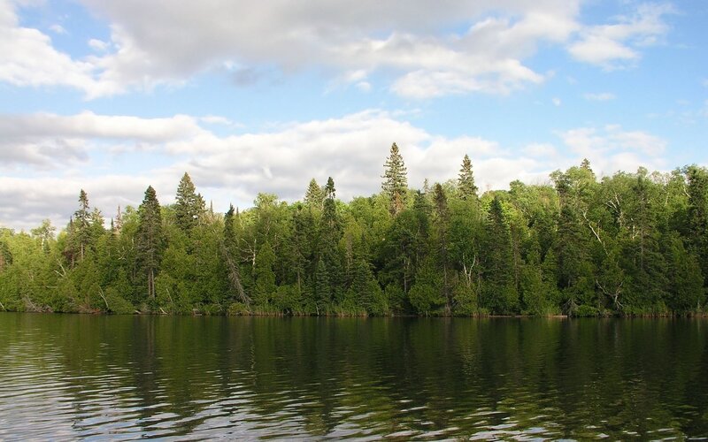 forest lake under cloudy sky