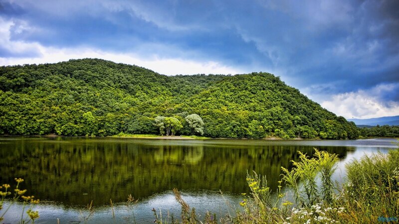 Forest lake under cloudy sky