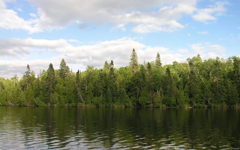 Forest lake under cloudy sky
