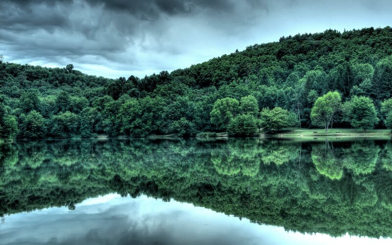 Forest lake under stormy sky