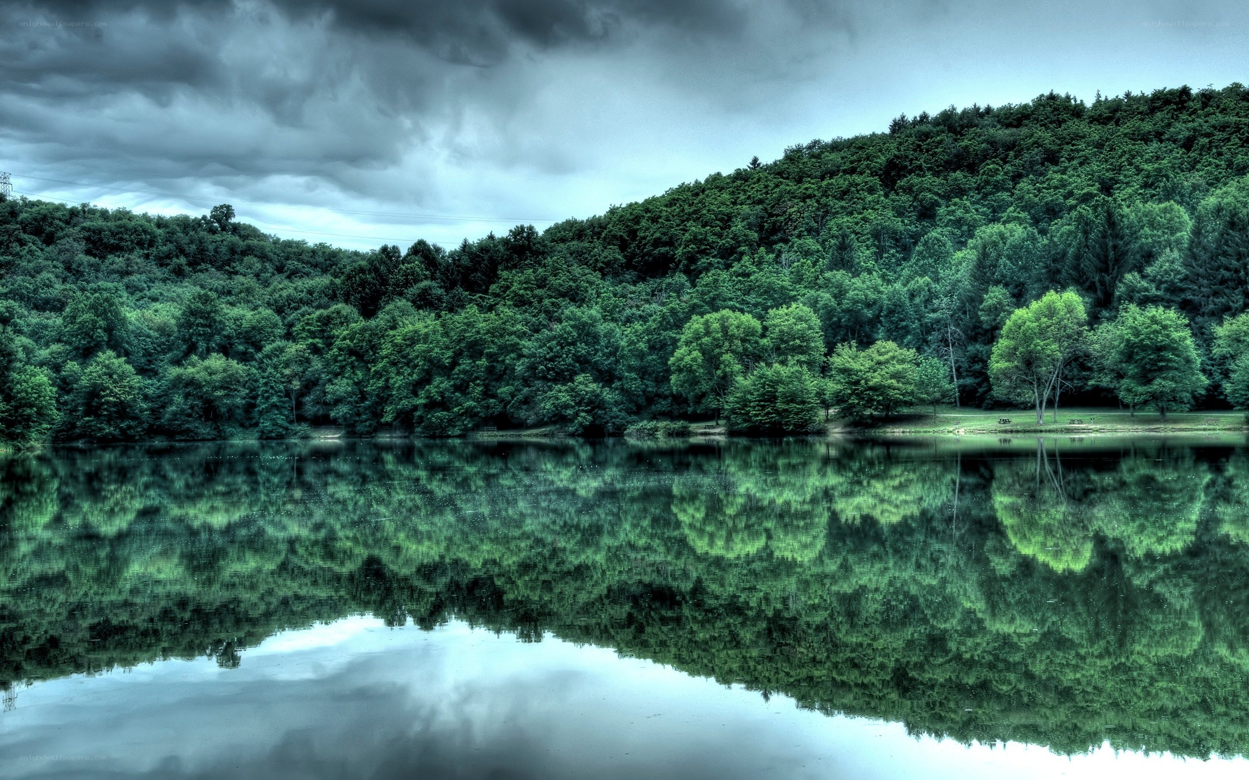 Forest lake under stormy sky