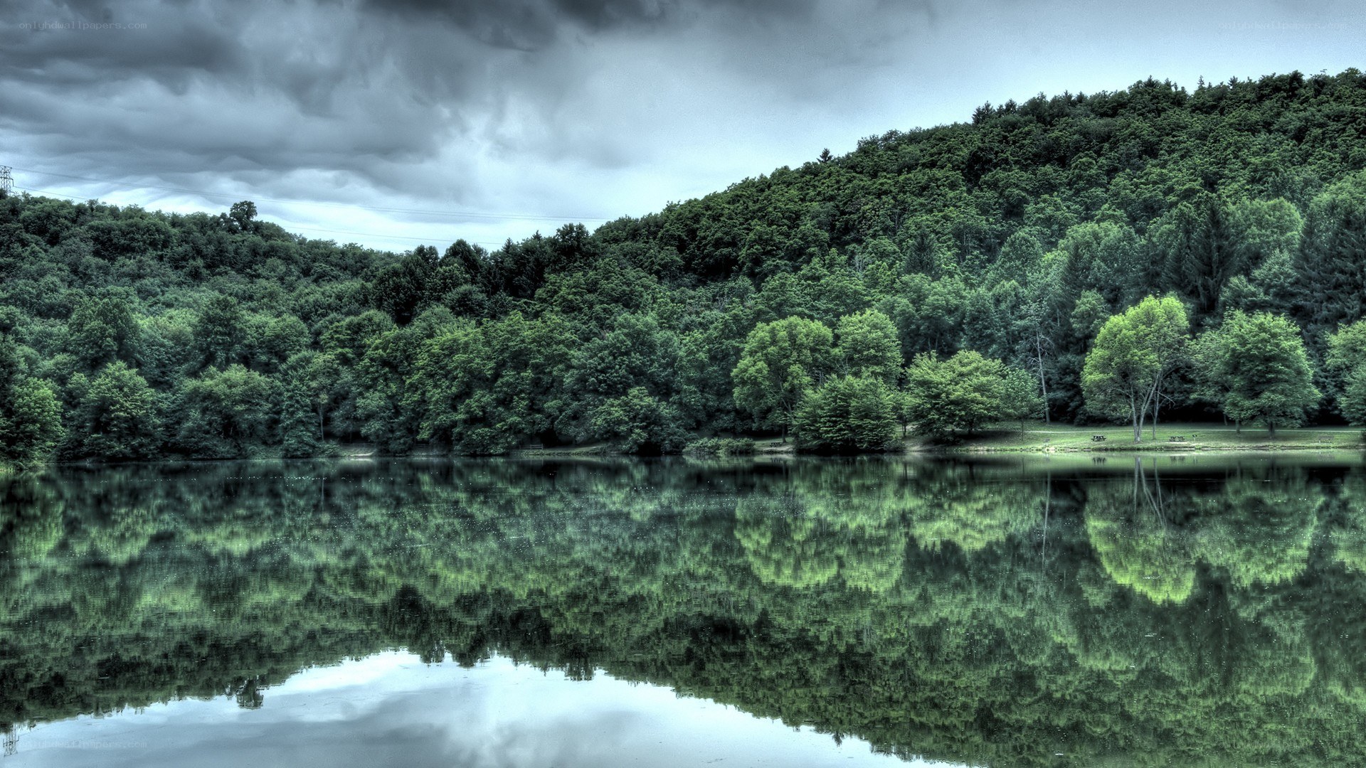 Forest lake under stormy sky