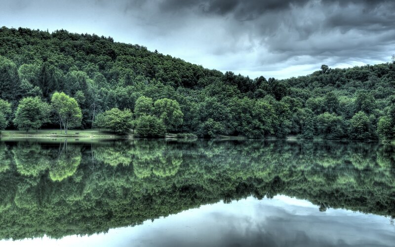 Forest lake under stormy sky