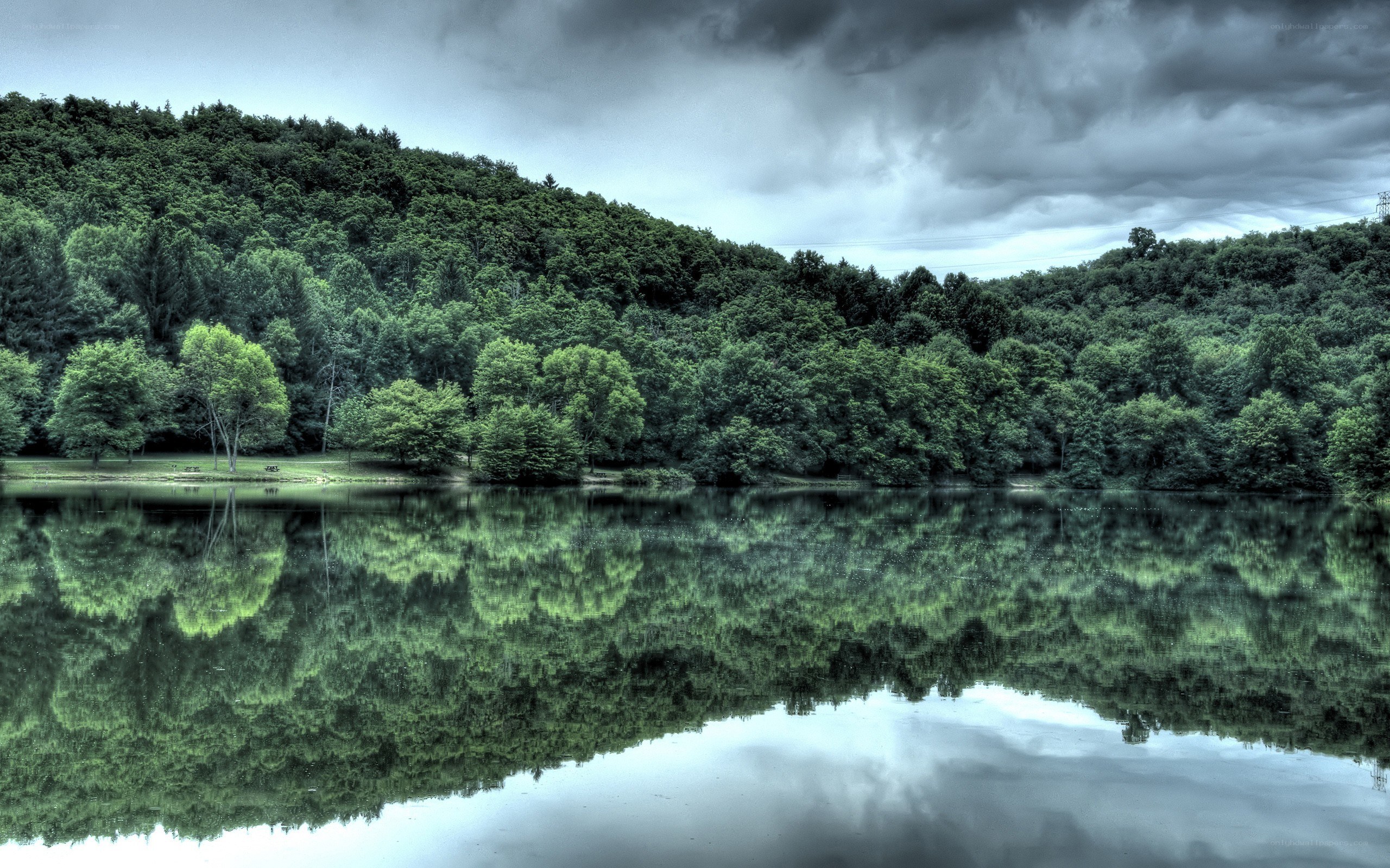Forest lake under stormy sky