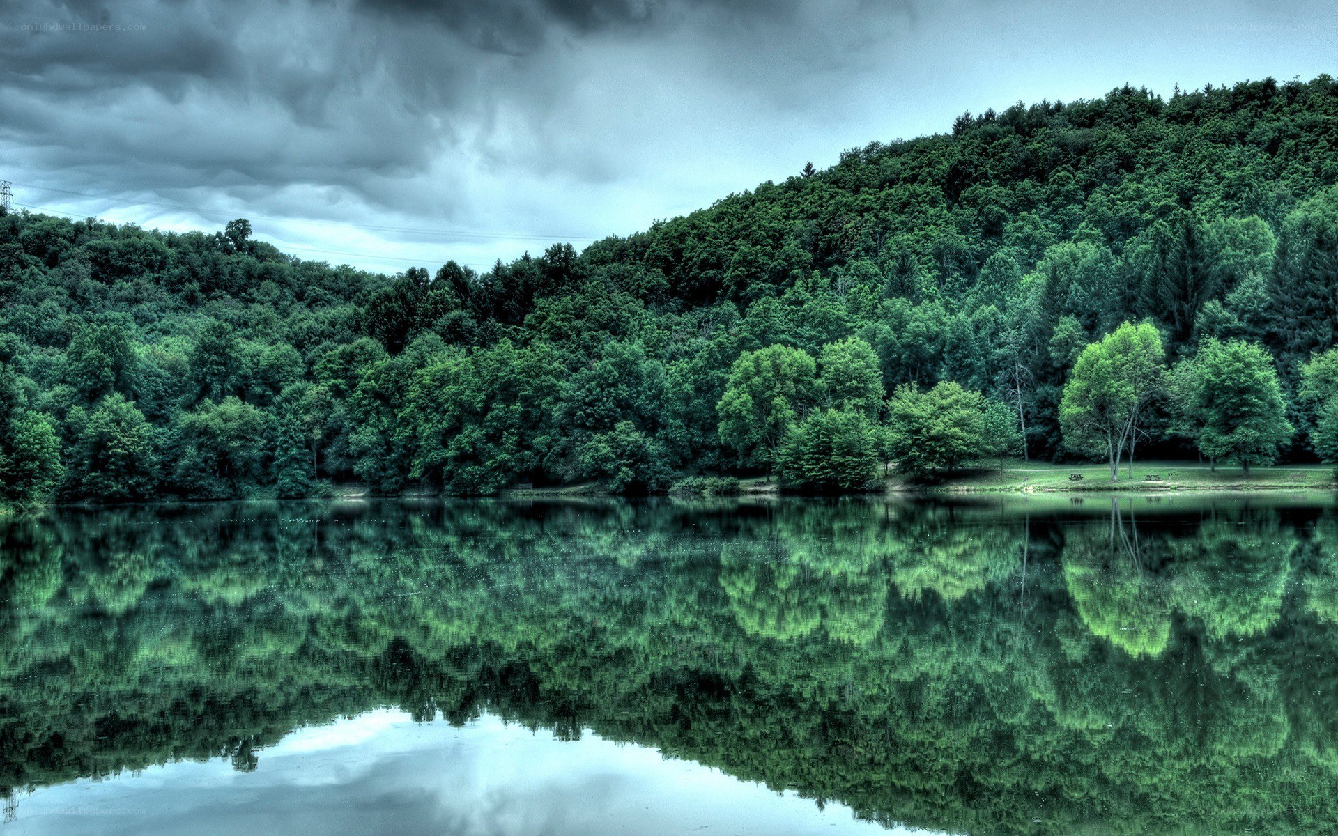 Forest lake under stormy sky