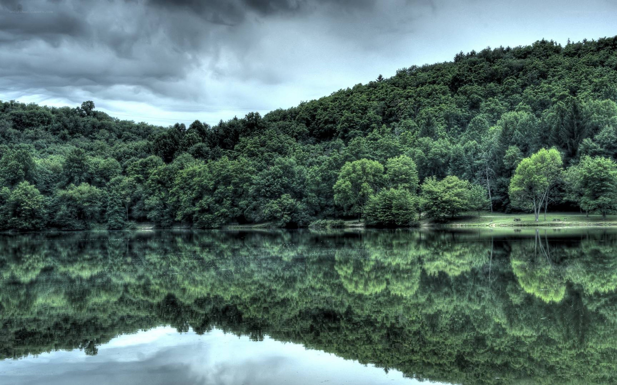 Forest lake under stormy sky