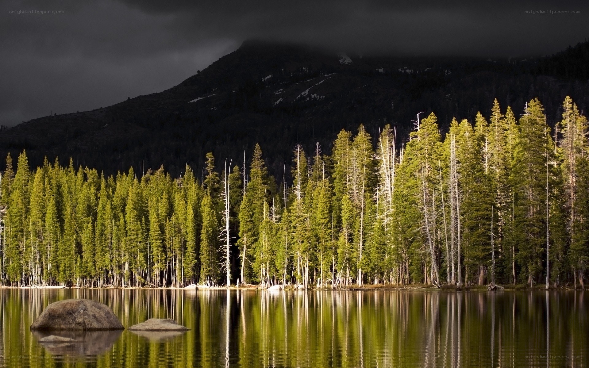 Forest lake under stormy sky