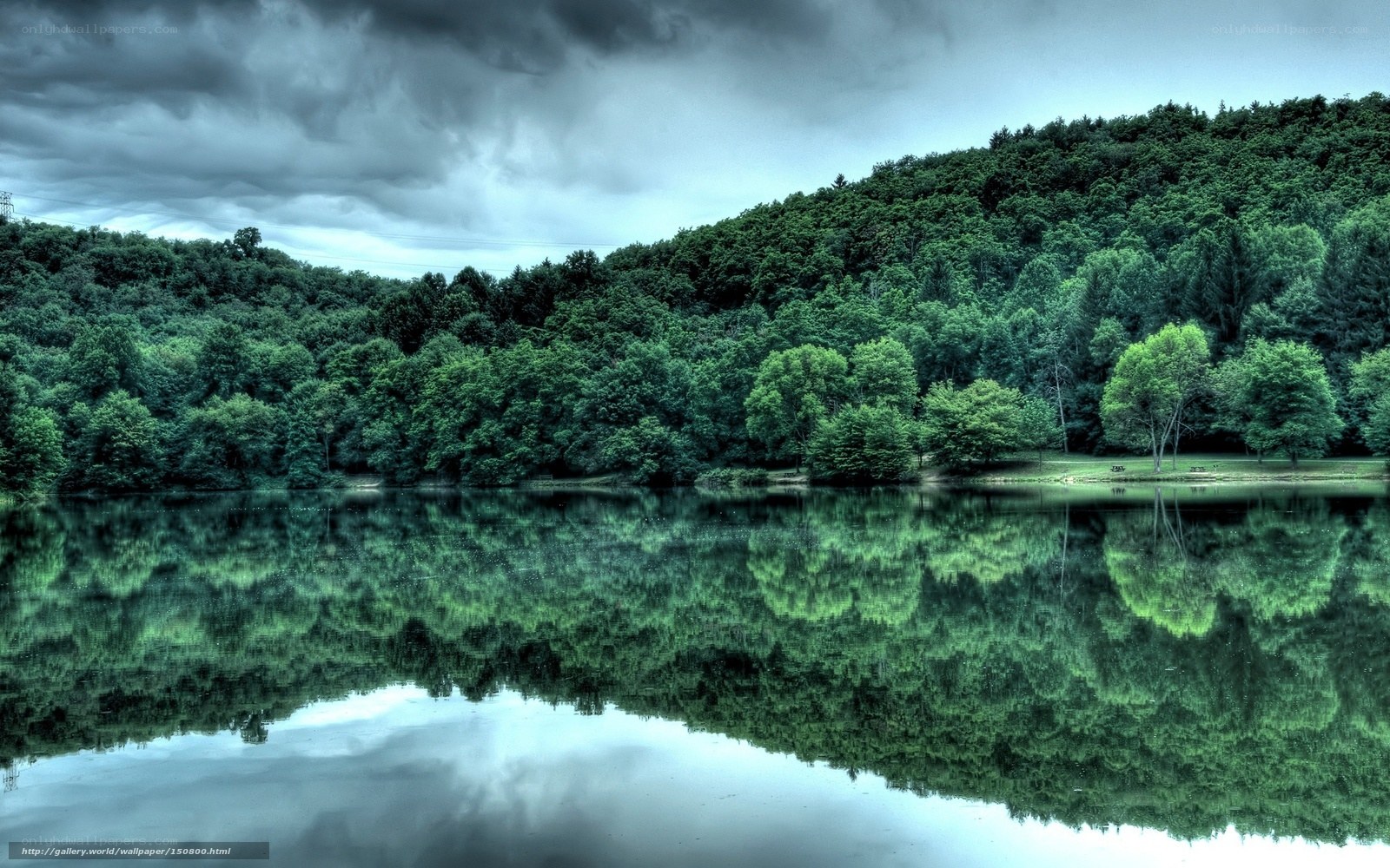 Forest lake under stormy sky