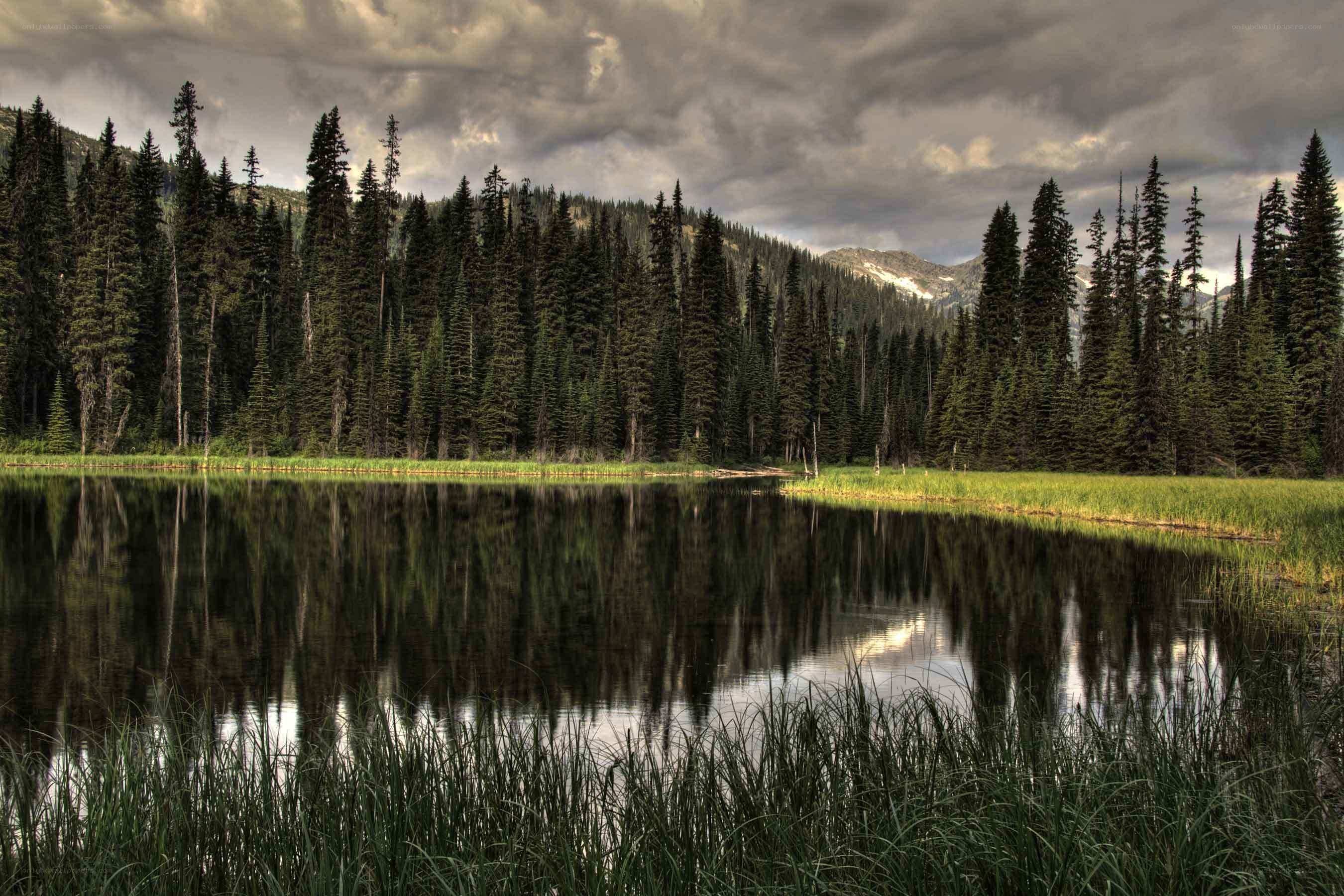 Forest lake under stormy sky