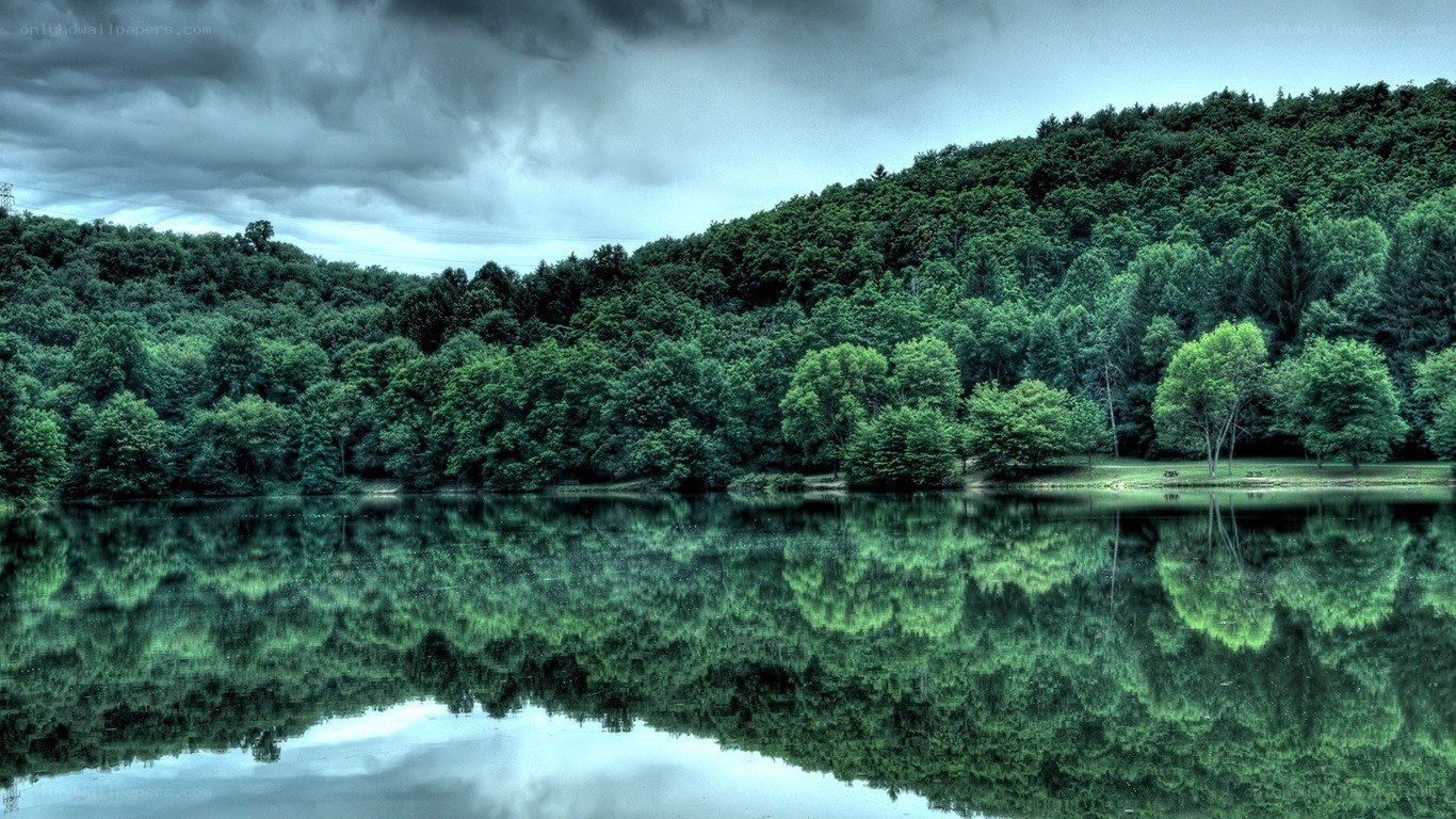 Forest lake under stormy sky