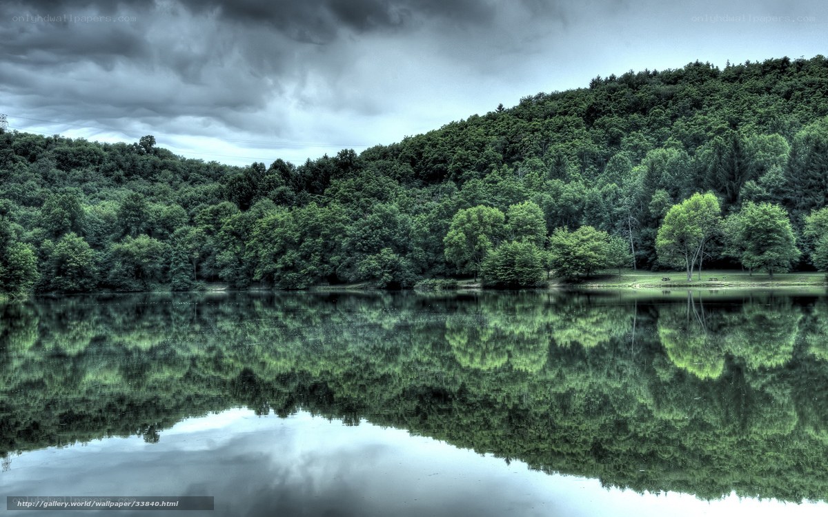 Forest lake under stormy sky