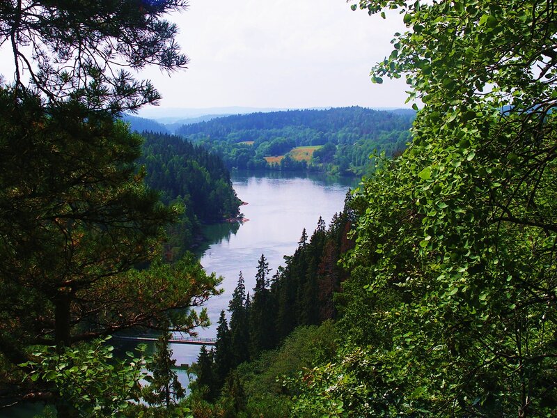 Forest lake view from hill