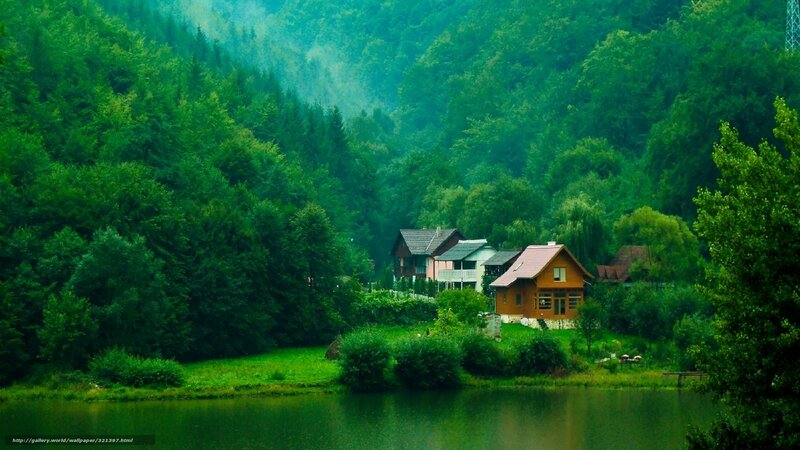 Forest lake village scene