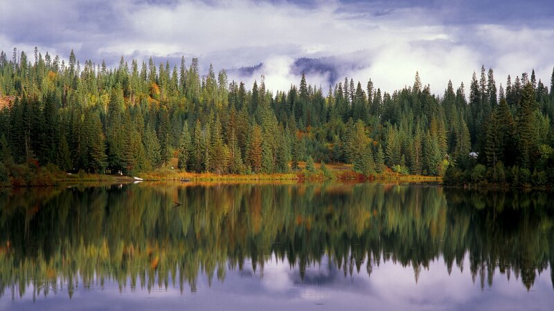 Forest lake with autumn colors