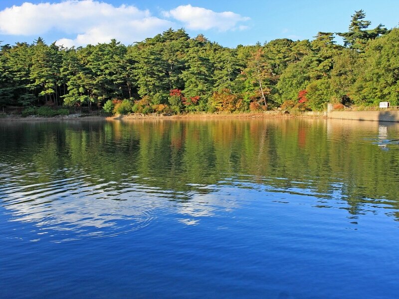 Forest lake with autumn colors