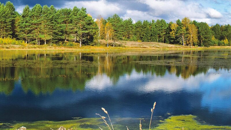 Forest lake with autumn trees