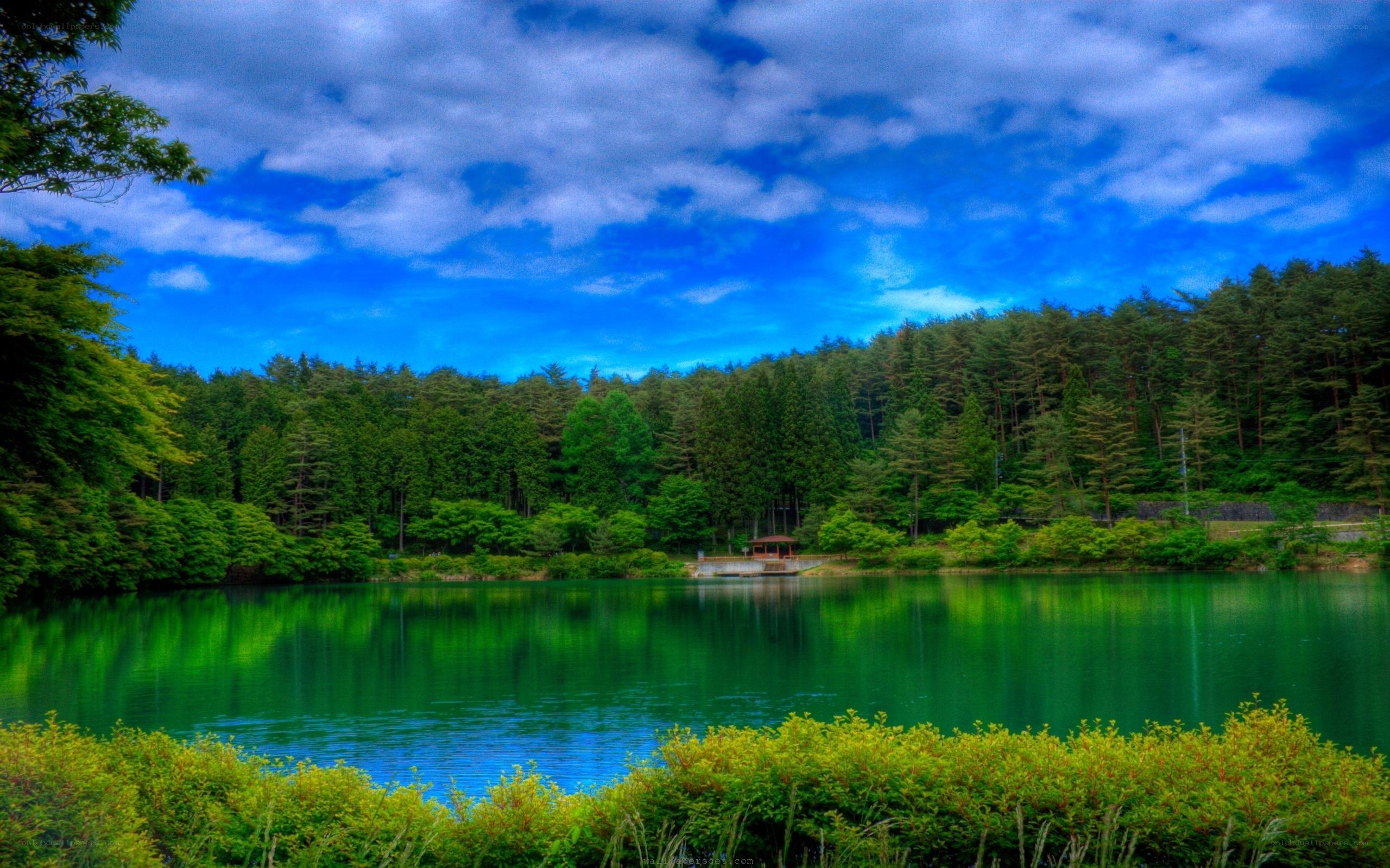 Forest lake with blue sky