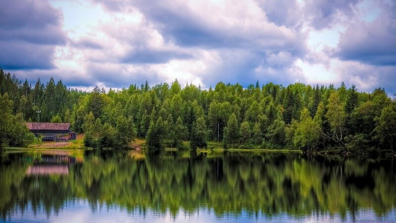 Forest lake with cabin reflection