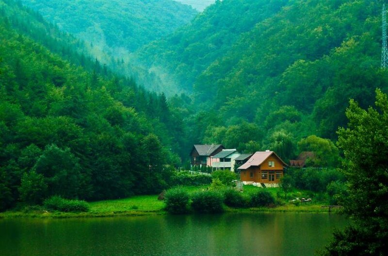 Forest lake with cabins